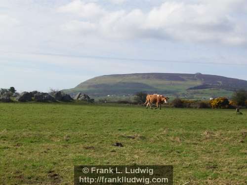 Carrowmore